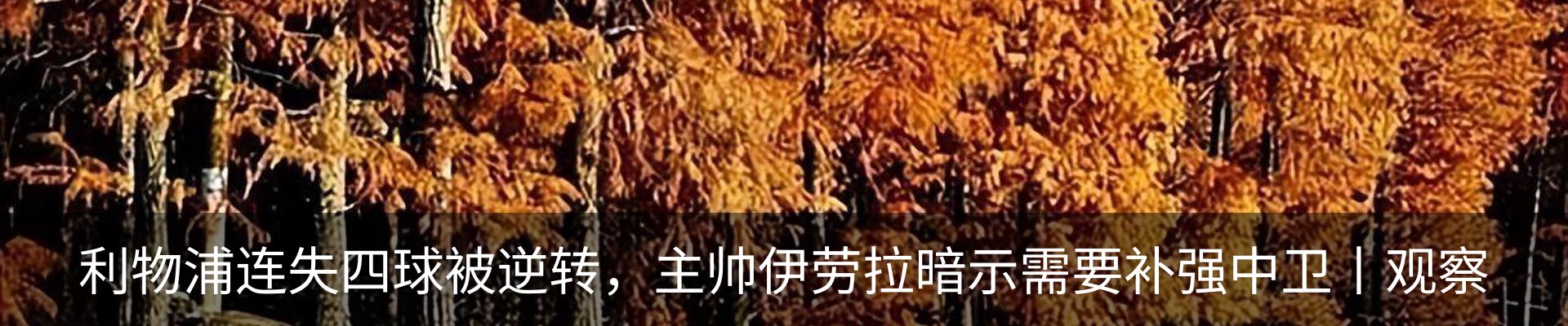 内页banner