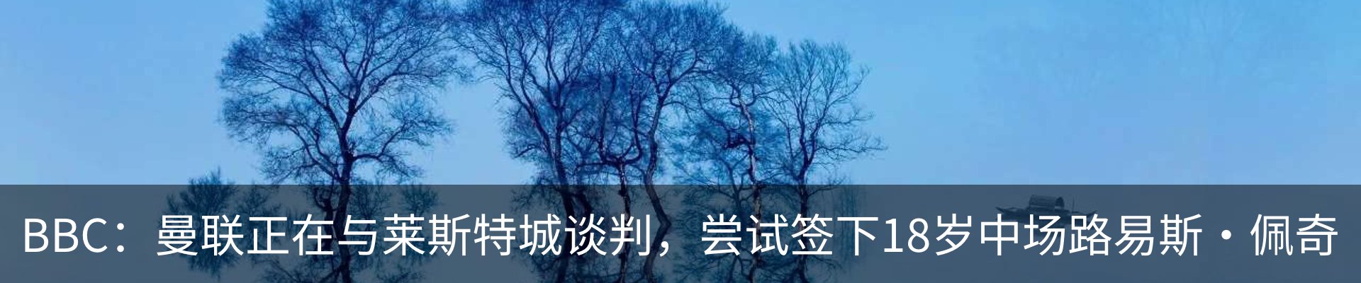 内页banner